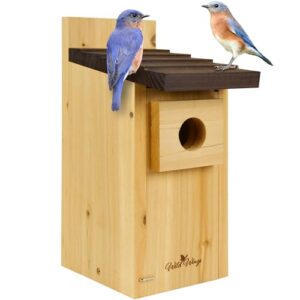 Wild Wings Bird House